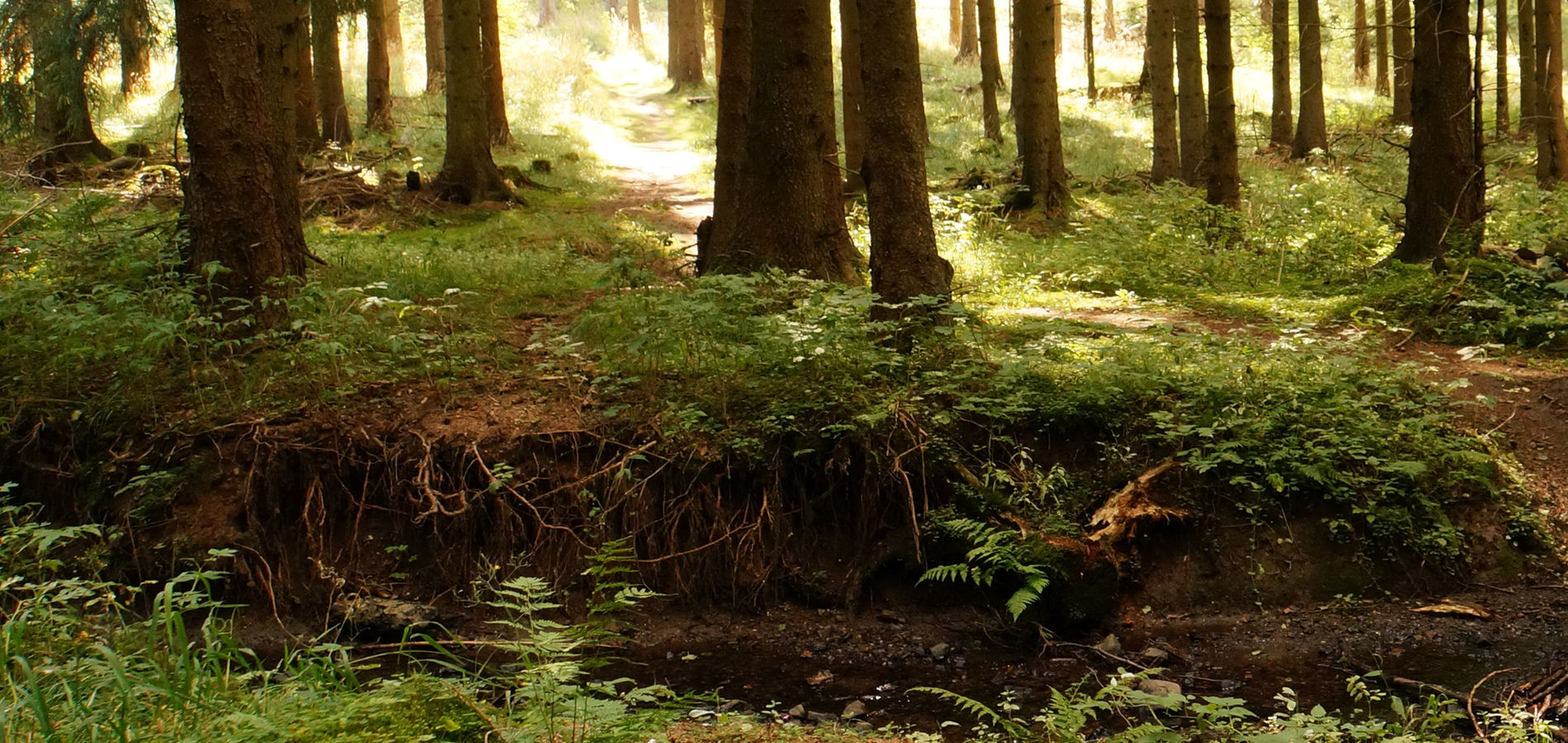 CSI Training im harz für neuen Teamgeist 
