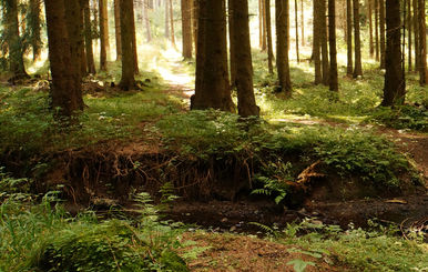 CSI Training im harz für neuen Teamgeist 